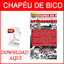 Jornal Chapeu de Bico